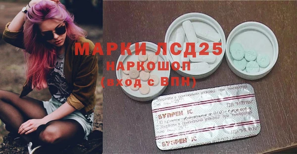 стафф Заволжск