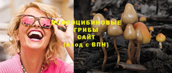 метадон Заводоуковск
