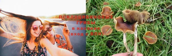 прущие крисы Ханты-Мансийск