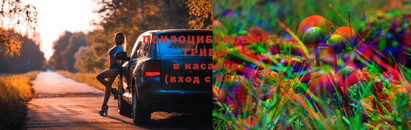 гидропоника Хадыженск