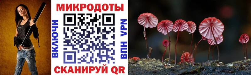 ссылка на мегу сайт  Саранск  Галлюциногенные грибы Magic Shrooms  наркота 