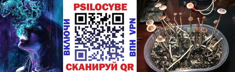 Галлюциногенные грибы прущие грибы Саранск